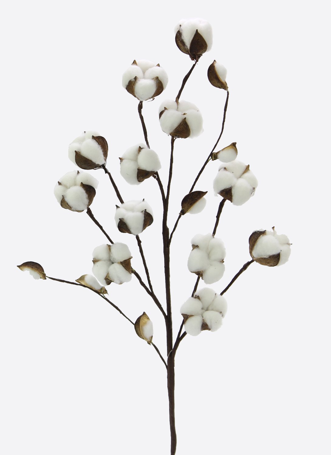 Adhesive Spray [Set of 2]