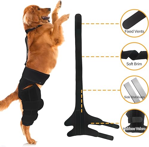 Miniatura 5 de Rodillera para perro con estabilizadores laterales, soporte para perro ACL CCL Lesión del ligamento cruzado dolor articular y dolor muscular (talla