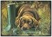 CHOCOLATE LAB DOORMAT Art by Barrie Barnett