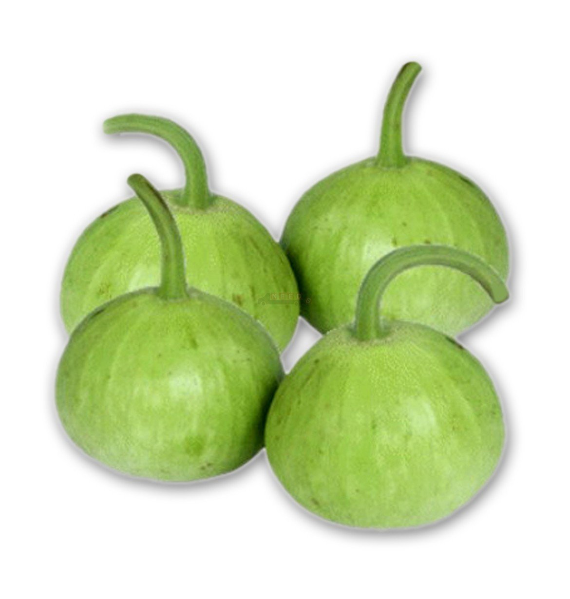 See full amazon price history chart for Ol Seed Bottle Gourd/Lauki Round Seeds - Hybrid Ol Seed Bottle Gourd/Lauki Round Seeds - Hybrid (B07DBDDZD6) Amazon Price History, Amazon Price Tracker