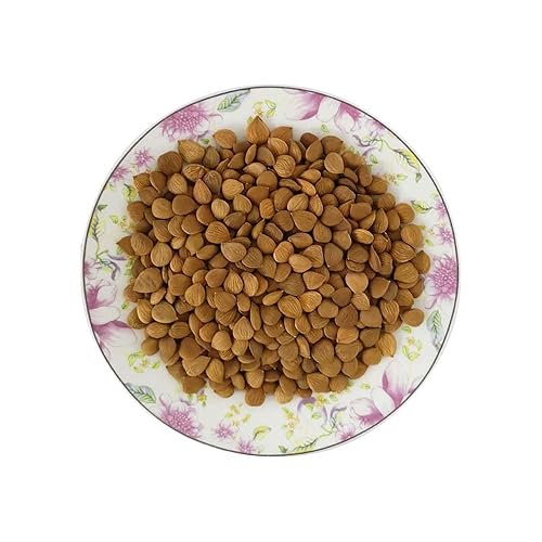 Miniatura 8 de Núcleos de albaricoque amargo crudo natural 16 oz semillas orgánicas de albaricoque amargo certificado USDA 1 lb