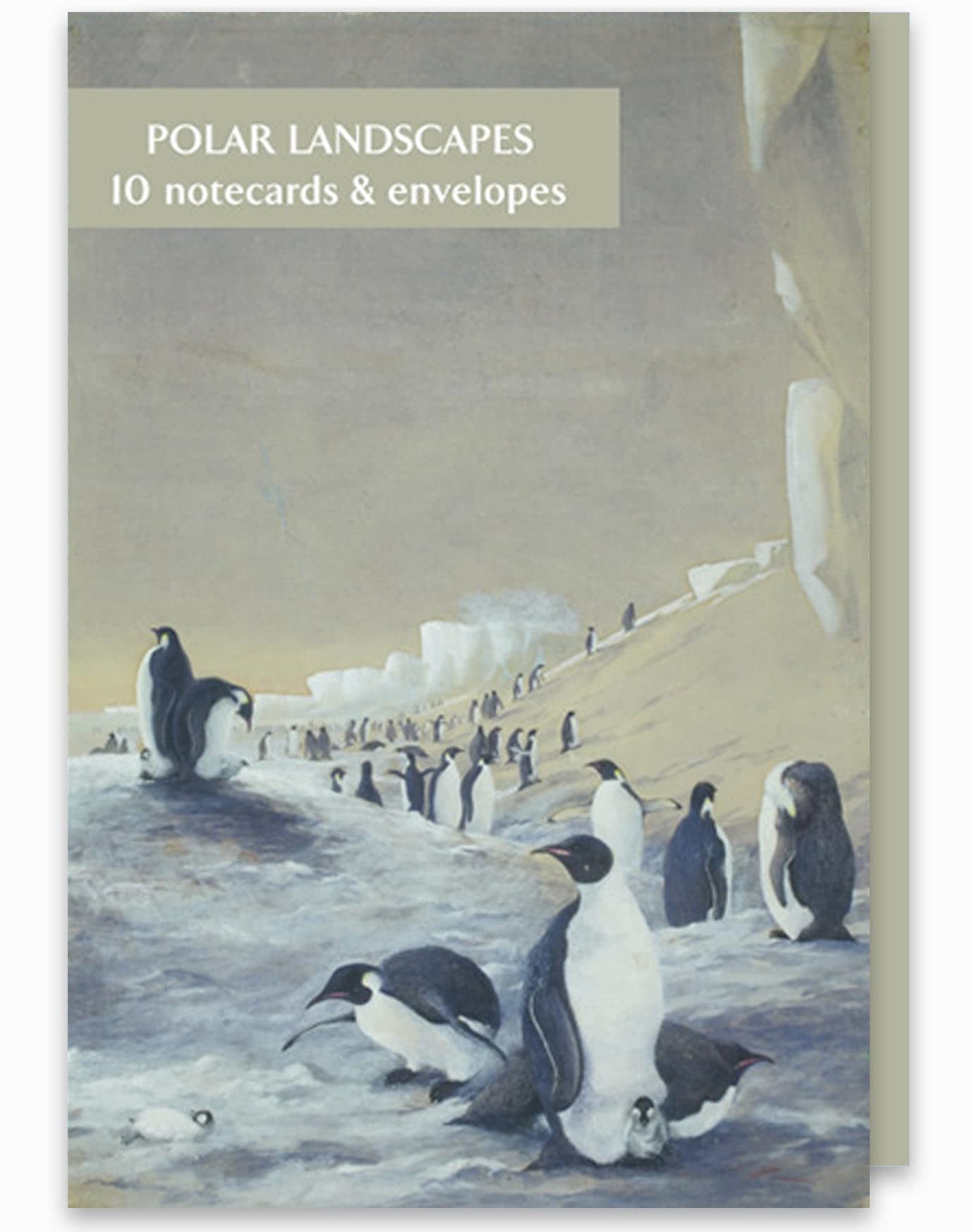 Fitzwilliam Museum Curating Notecard Blank Pack of Greeting Cards University of Cambridge (2 Each of 5 Designs) (Polar Landscapes)