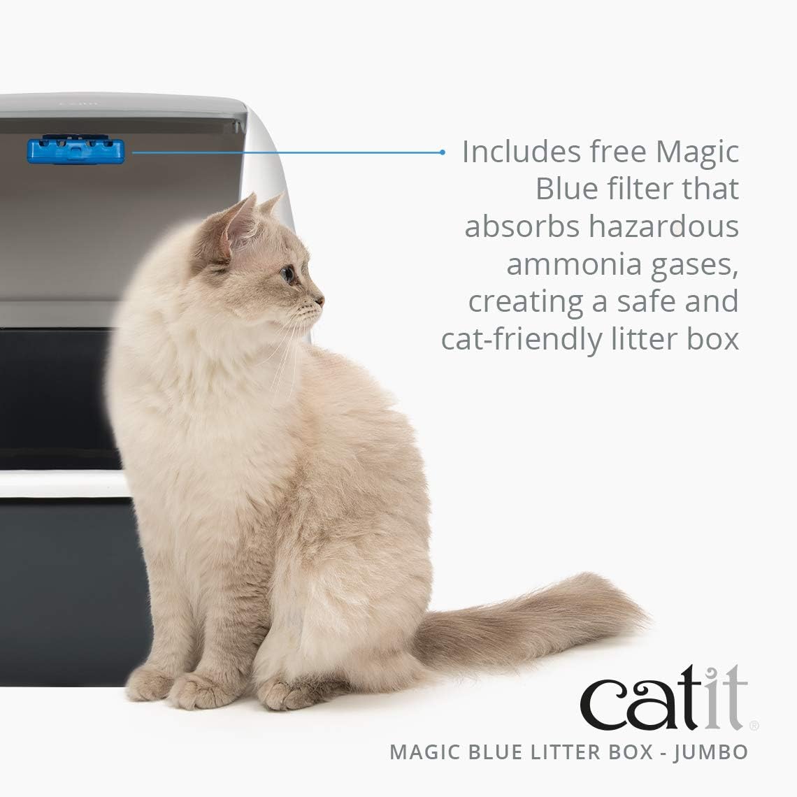 magic blue litter box