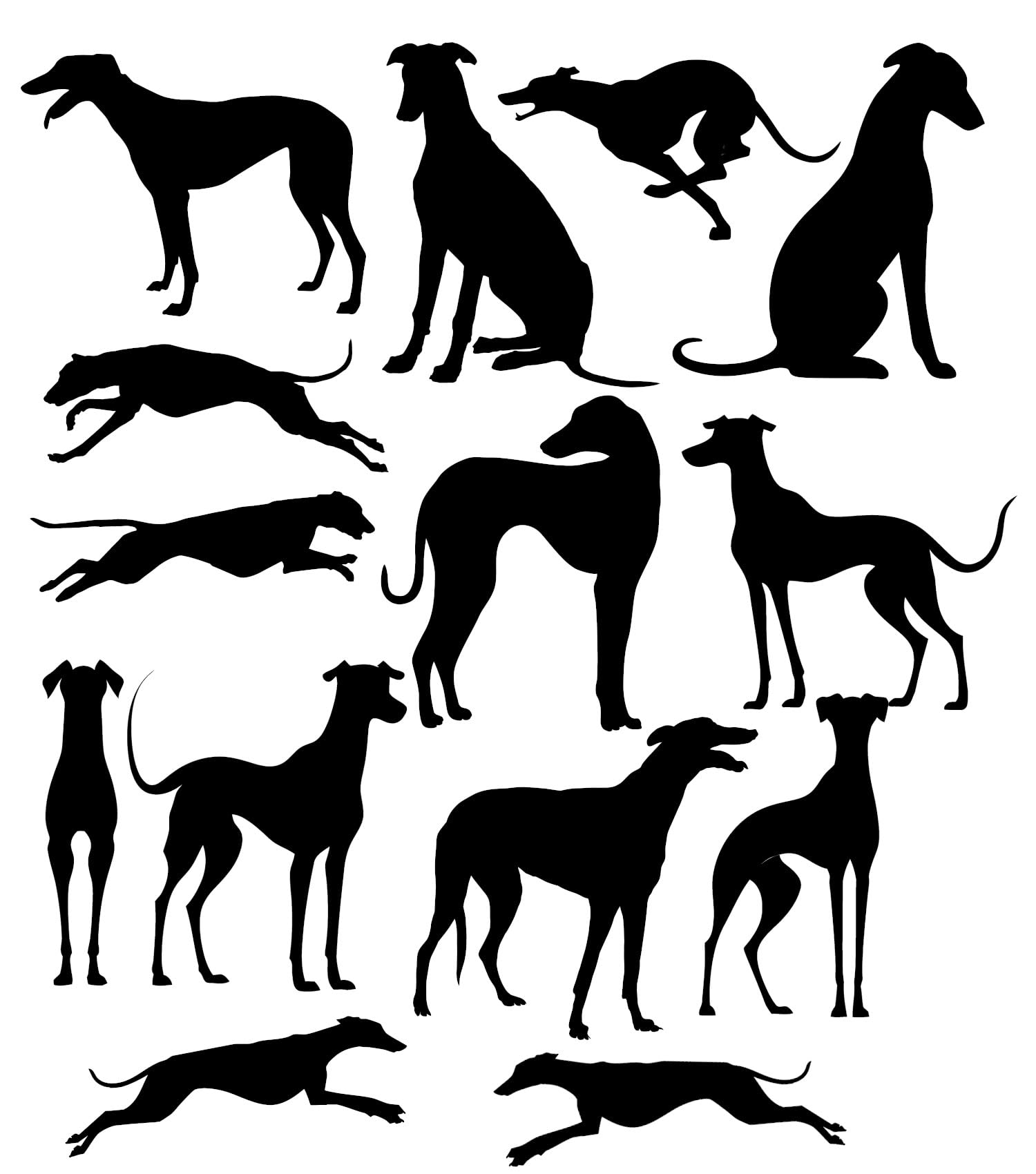 14 Greyhound Fun Waterproof Sticker Pack Vinyl Decal - Use on Car Bumpers, Laptops, Water Bottles, Scrabooking, Party Bags, Gift for Dog Lover (Black, 13cm (5.1") Long)