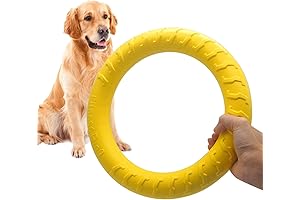 Indestructible Chew Toy for Dog: Flying Ring for Aggressive Chewers Training