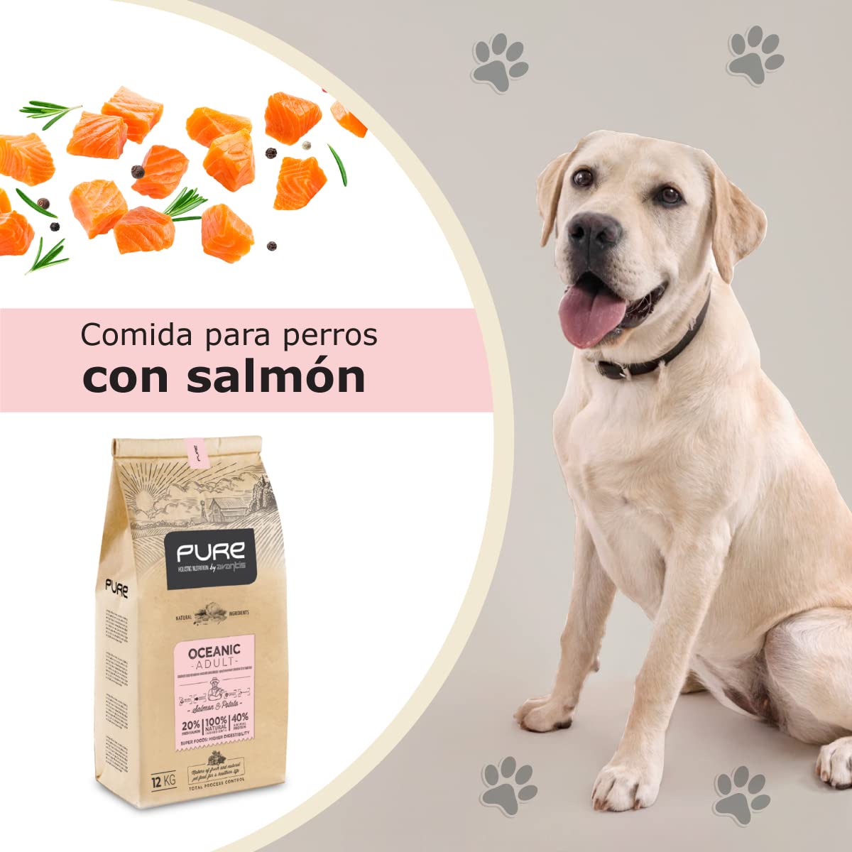 Pure Oceanic Adult Salmón y Patata 12 kg – Pienso Holístico con Carne Fresca para Perros Adultos – Estómago Sensible – Omega 3 y 6