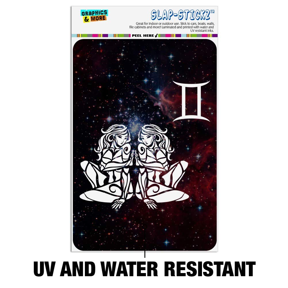 Amazon.com: GRAPHICS & MORE Gemini Twins Zodiac Sign Horoscope in