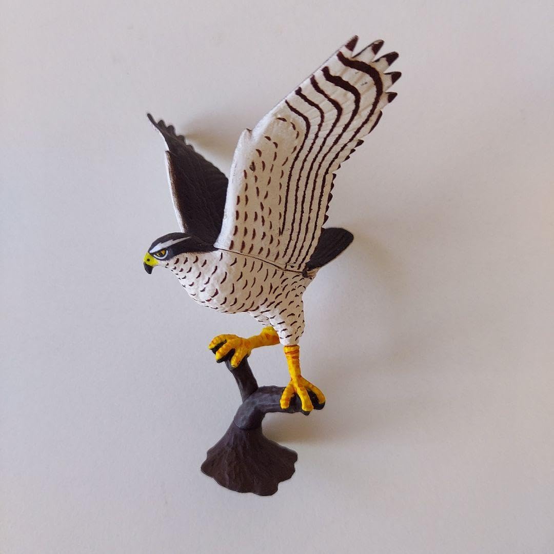 チョコエッグ 鳥編 シークレット含む