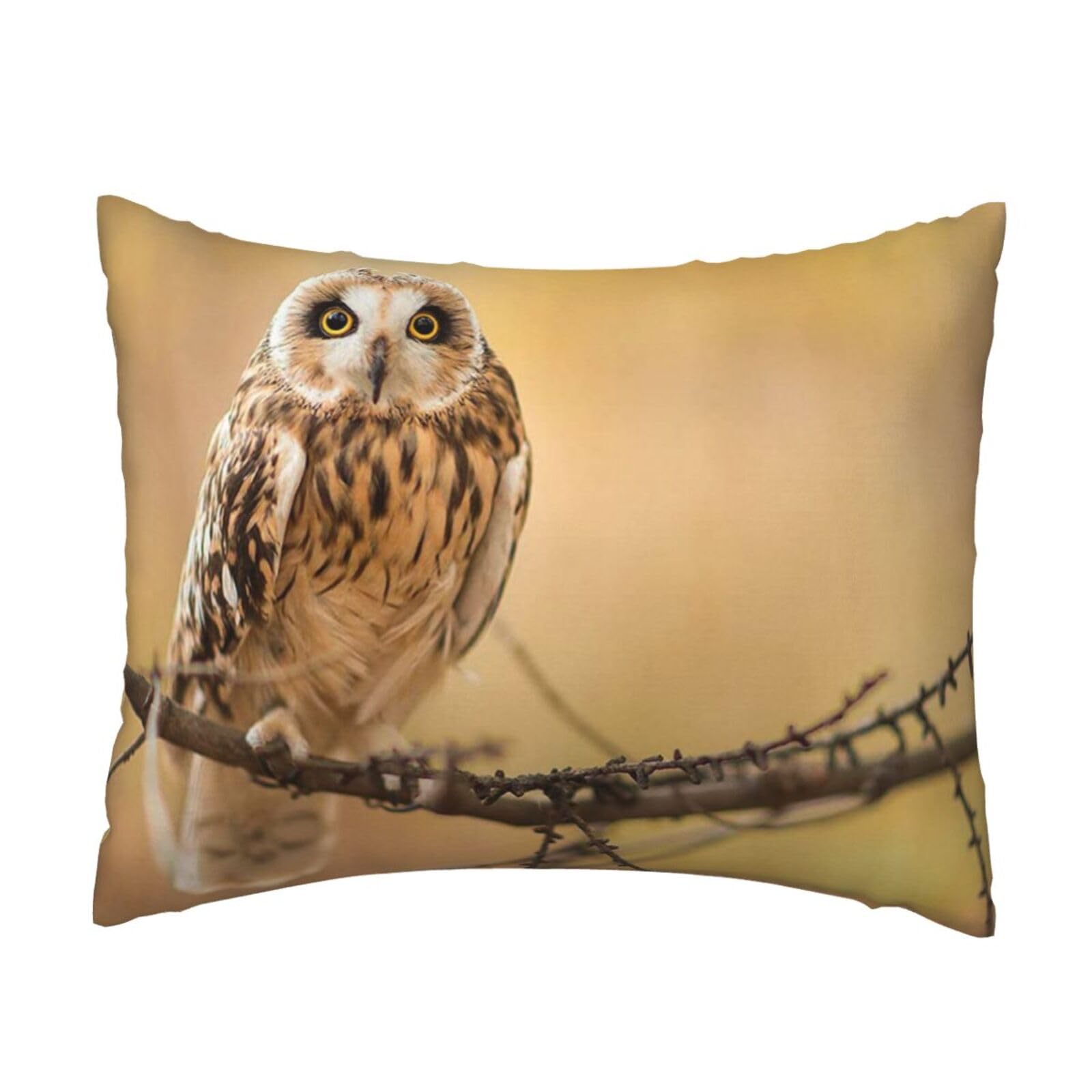 GSGCSBYMLG Owl Standing on The Tree printed Pillow Case 20x26in Cushion Cover