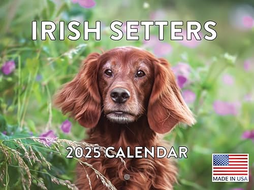 Vista 271 de Calendario Goldendoodle 2026 Golden Doodle mensual de pared calendario de 12 meses Fabricado en Estados Unidos