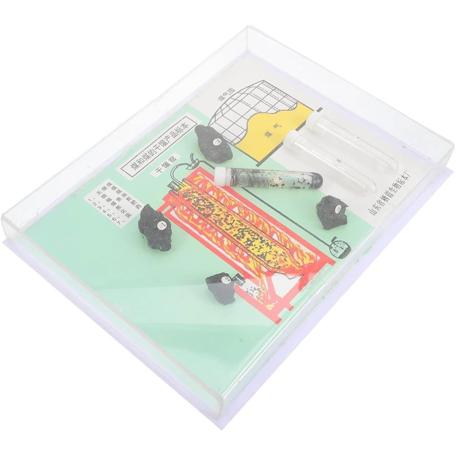 Set di Lenti convesse e concave Portatili, Lenti d'Ingrandimento e Accessori for banco Ottico, Strumenti di Imaging con Campioni di carbonizzazione del Carbone