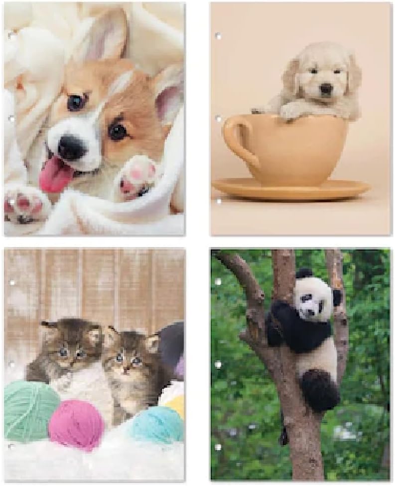 Set of 4: Puppy Dog Kitty Cat Kitten Panda Bear 3-Hole Punched 2-Pocket Paper Folders Portfolio Animal Project for School