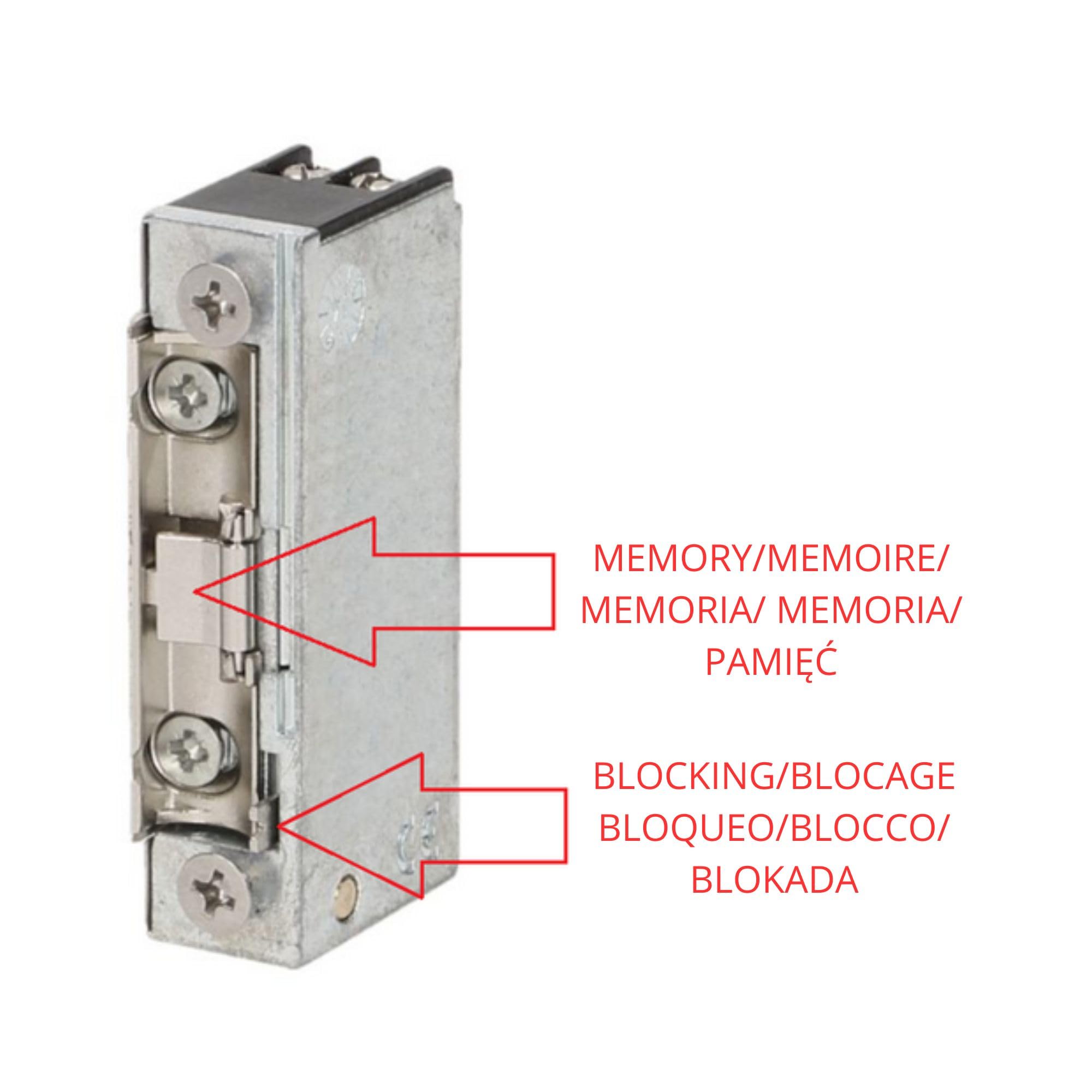 Elektrische sluitplaat 10 - 24 V - ETCB de distributeur voor al u