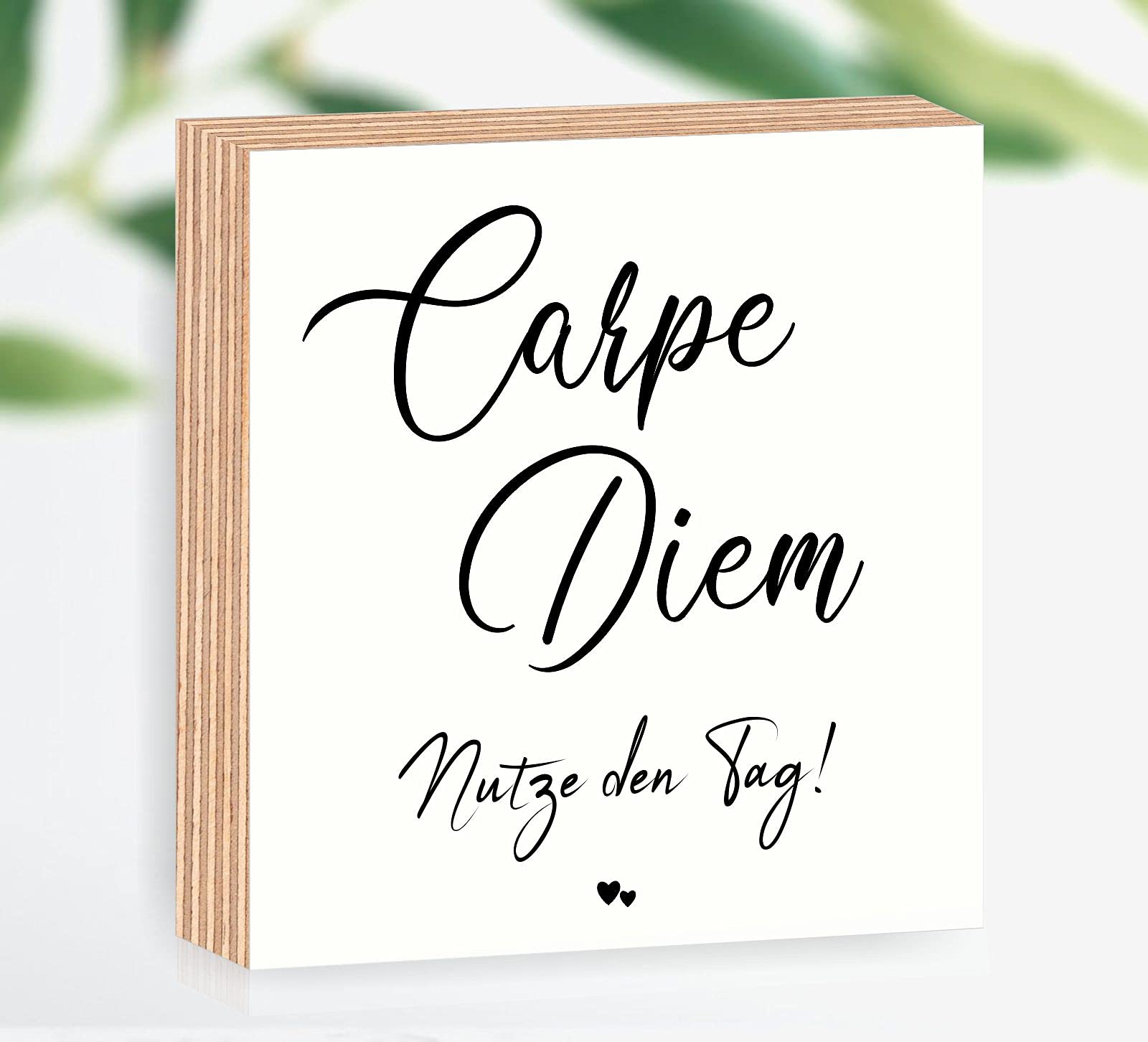 WTD - Quadro in legno con immagine di Carpe Diem, 15 x 15 x 2 cm, da appoggiare o appendere, 3D, con scritta in lingua tedesca
