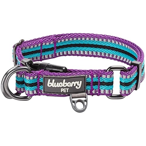 Blueberry Pet 3M Reflective Dog Collars | Adjustable Dog Collar w/Multi-Colored Stripe - Violet and River Blue | Nylon Pet Collars for Dogs & Refflective Dog Collar for Small Dogs
