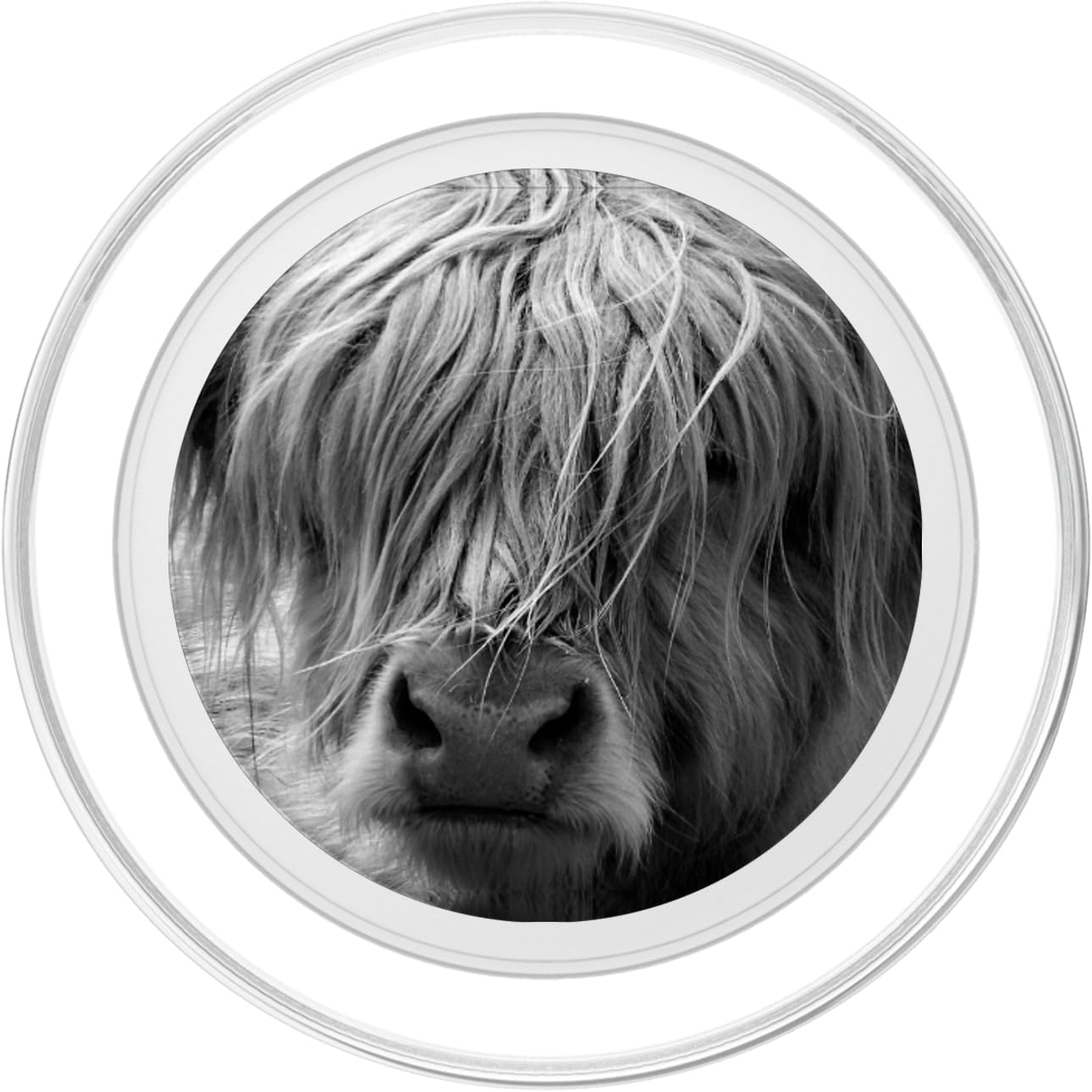 Highland Cow Black & White Scottish Highland Cow Coo Farm PopSockets MagSafe PopGrip for iPhone