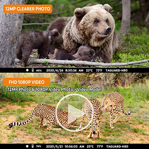 OMOTOR Trail Game Camera,2 Packs 1080P 2.0" LCD Game & Night Vision Motion Activated Hunting Camera with Low Glow and Upgraded Waterproof IP66 for Outdoor Wildlife Watching