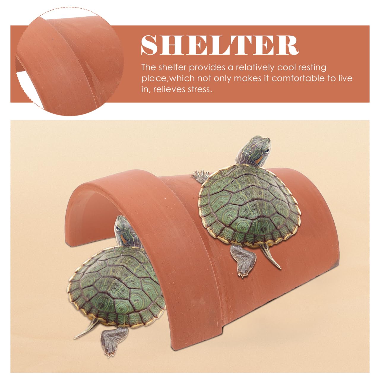 ERINGOGO Cachette Reptile Matériau Naturel Plateforme de Baignade et Abri pour Tortues Lézards Décoration de Terrarium et Multifonctionnelle