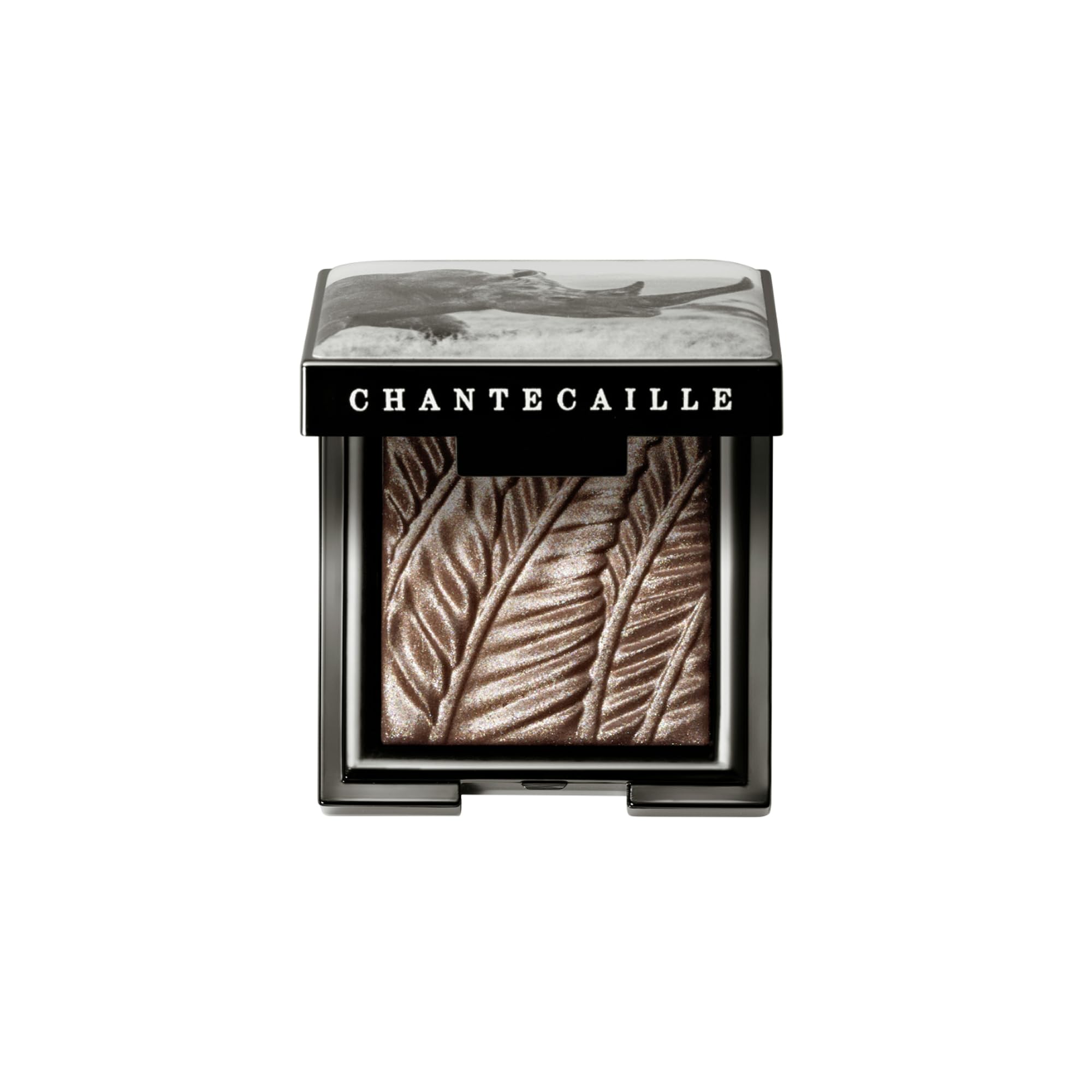 Luminescent Eye Shade - Rhinoceros by Chantecaille for Women - 0.08 oz Eye Shadow