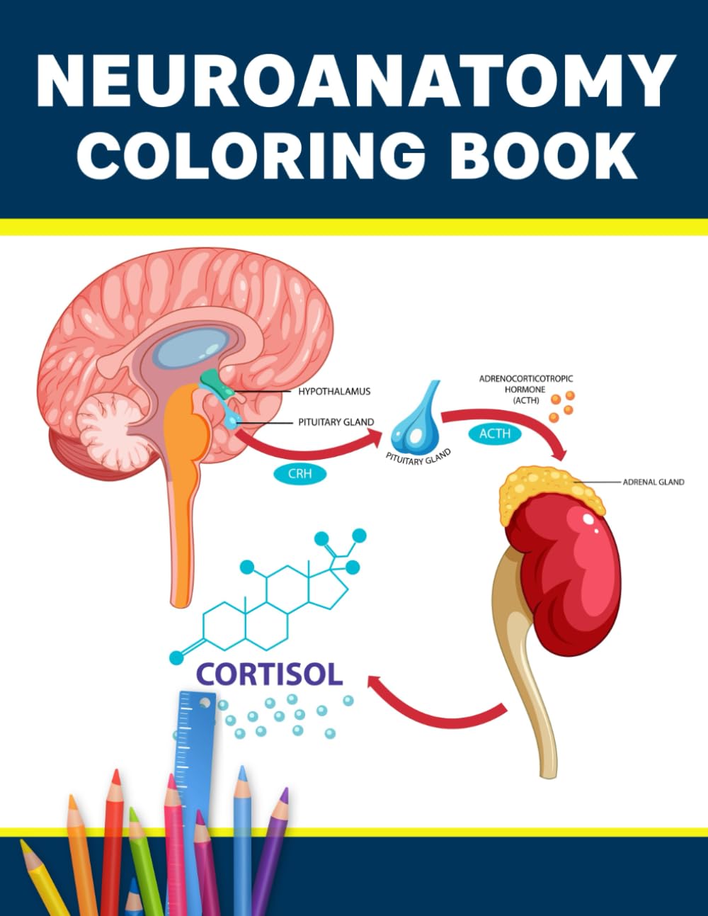 Neuroanatomy Coloring Book: Detailed neuroanatomy coloring guide featuring human brain structures cranial nerves and neural pathways for nursing and neuroscience learners