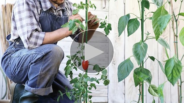 Amazon.com : Xiny Tool Garden Stakes, 25 Pack 4 Ft Steel Plant