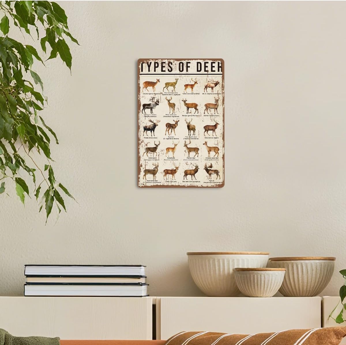 Vintage Metal Wall Sign, Types of Deer Wildlife Chart Decor, Rustic Hunting Lodge Tin Plaque, Cabin Artwork, Gift for Dad Husband, Patio Backyard Accent, Indoor Outdoor 7.9x11.8 Inches image 4