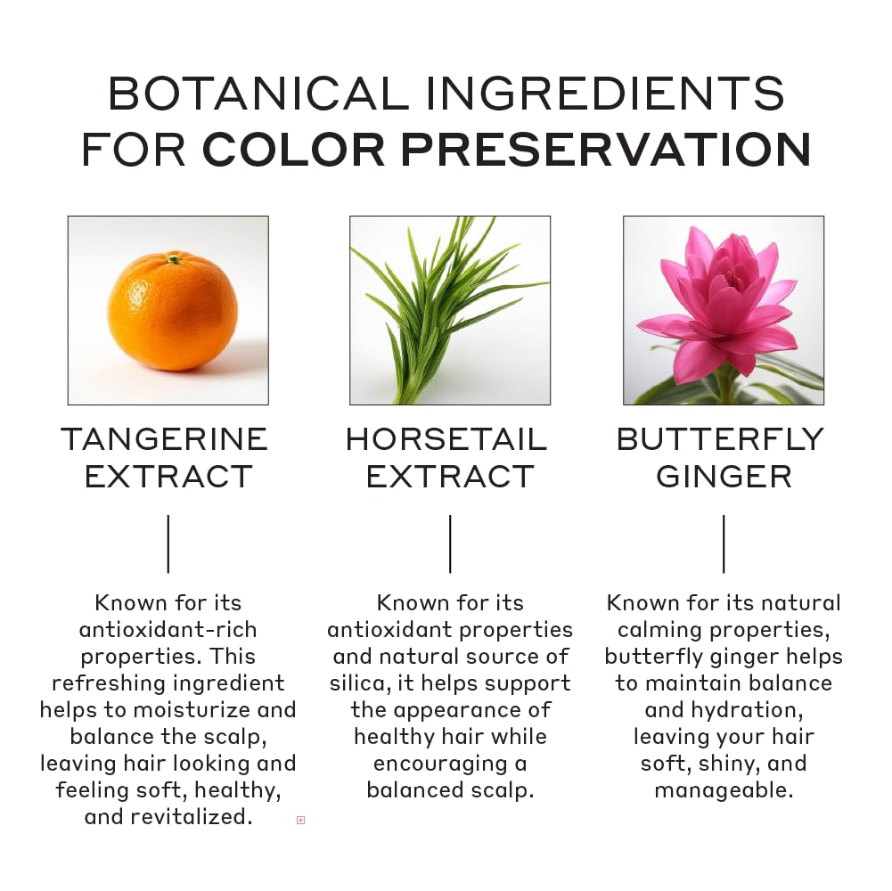 Zenagen Eclipse Color Preservation + Gray Support Conditioner | Enhances Hair Color Vibrancy, Reduces Gray Appearance, Nourishes & Strengthens Aging Hair, Plant-Based, Color-Safe, 16 oz