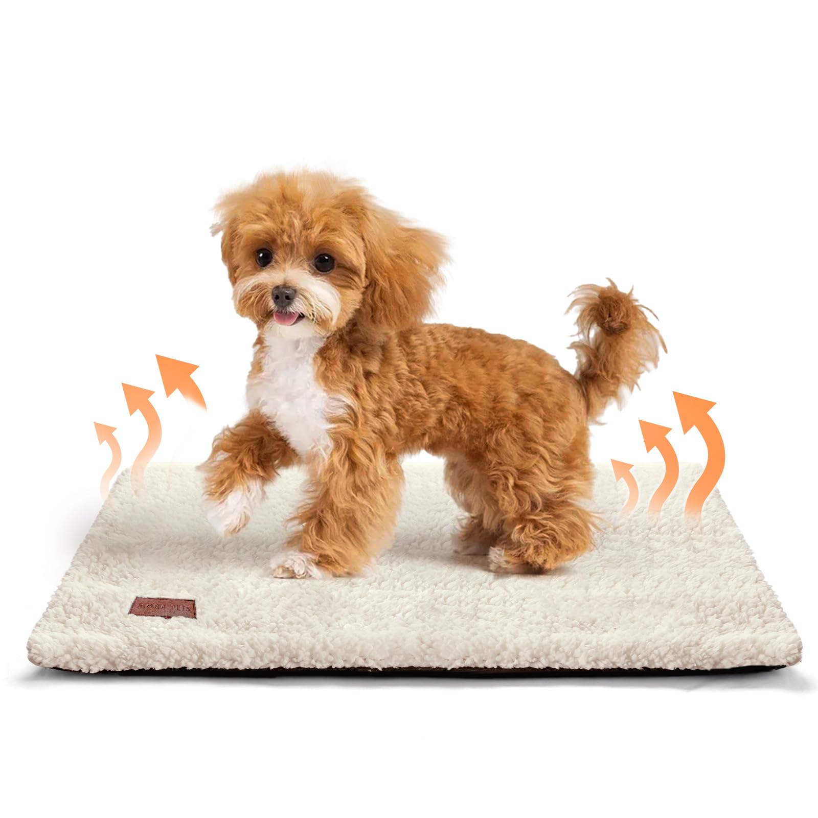 Mora Pets Tappetino riscaldante gatto Coperta autoriscaldante Cuscino per gatti e cani Tappeto riscaldante Senza elettricità e batterie Coperta termica Rimovibile e Lavabile 74 x 47 cm