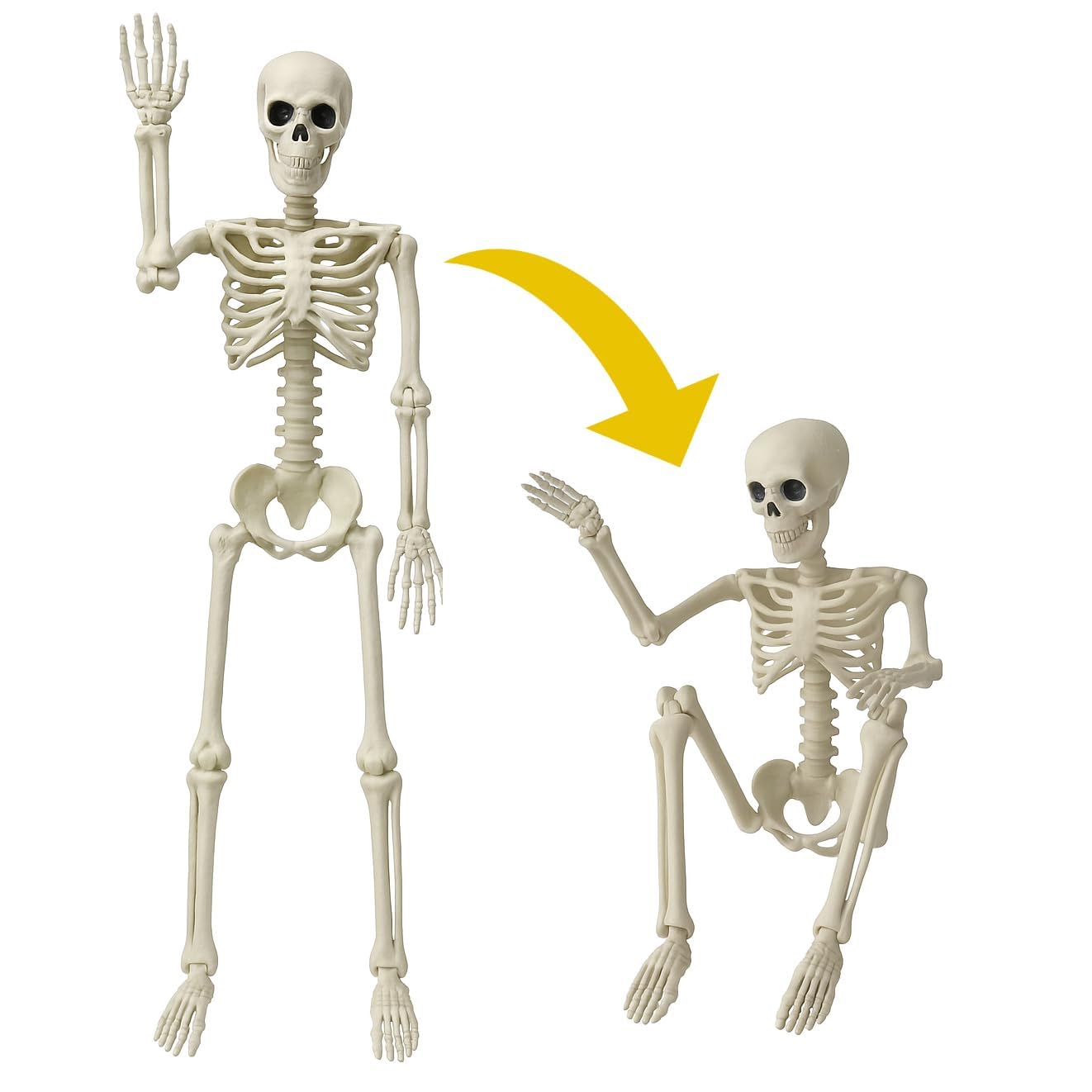 36" (3 ft) Halloween Posable Human Skeleton Decorations (1PCS) - Full Body Plastic Skeleton with Movable Joints, Spooky Haunted House Props for Indoor/Outdoor Halloween Party, Yard, Patio & Lawn