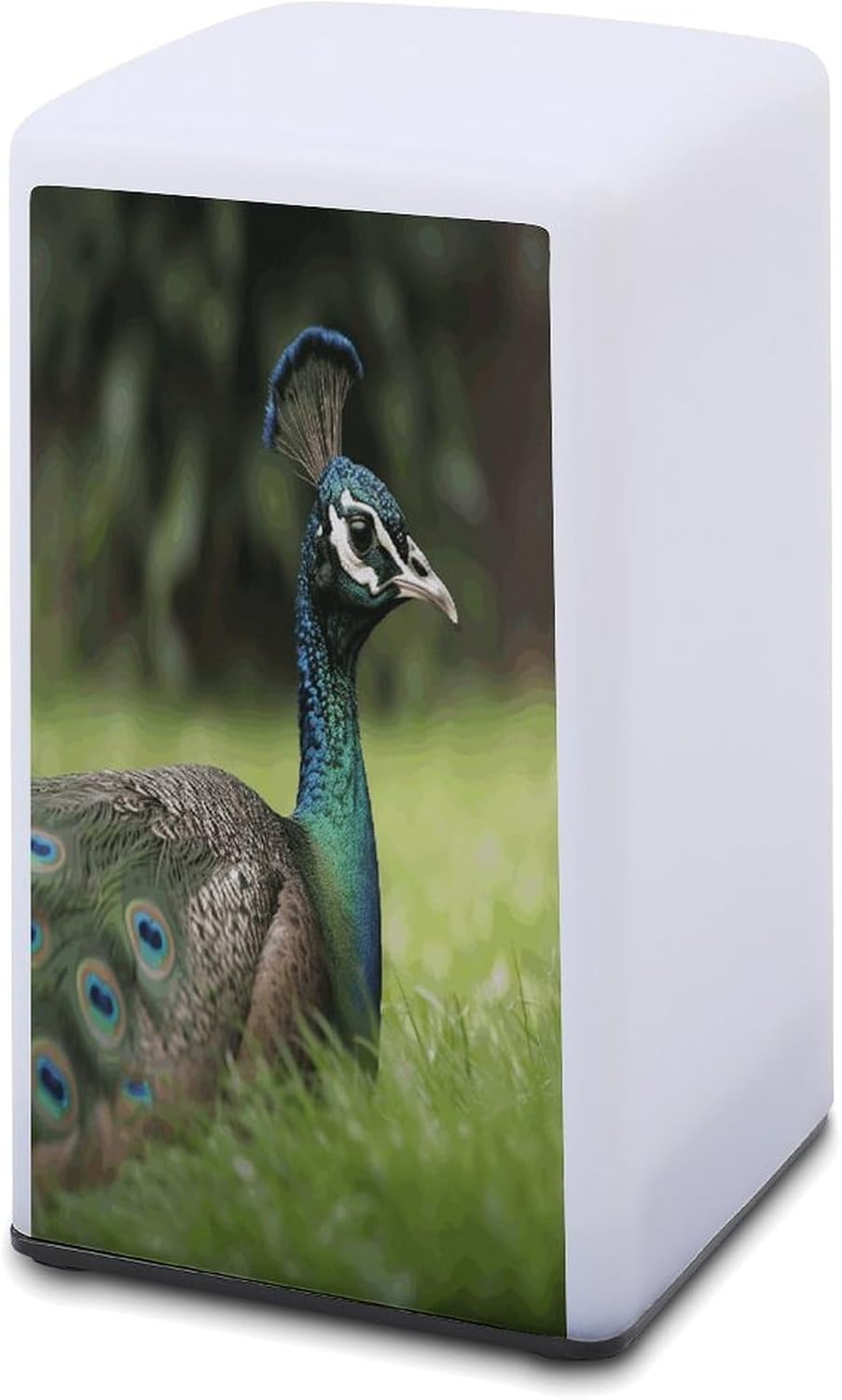 Cordless Night Light Battery Powered Dimmable Lamp for Reading Animals That Open Their Tails Small Desk Lamp for Bedroom Living Room Office