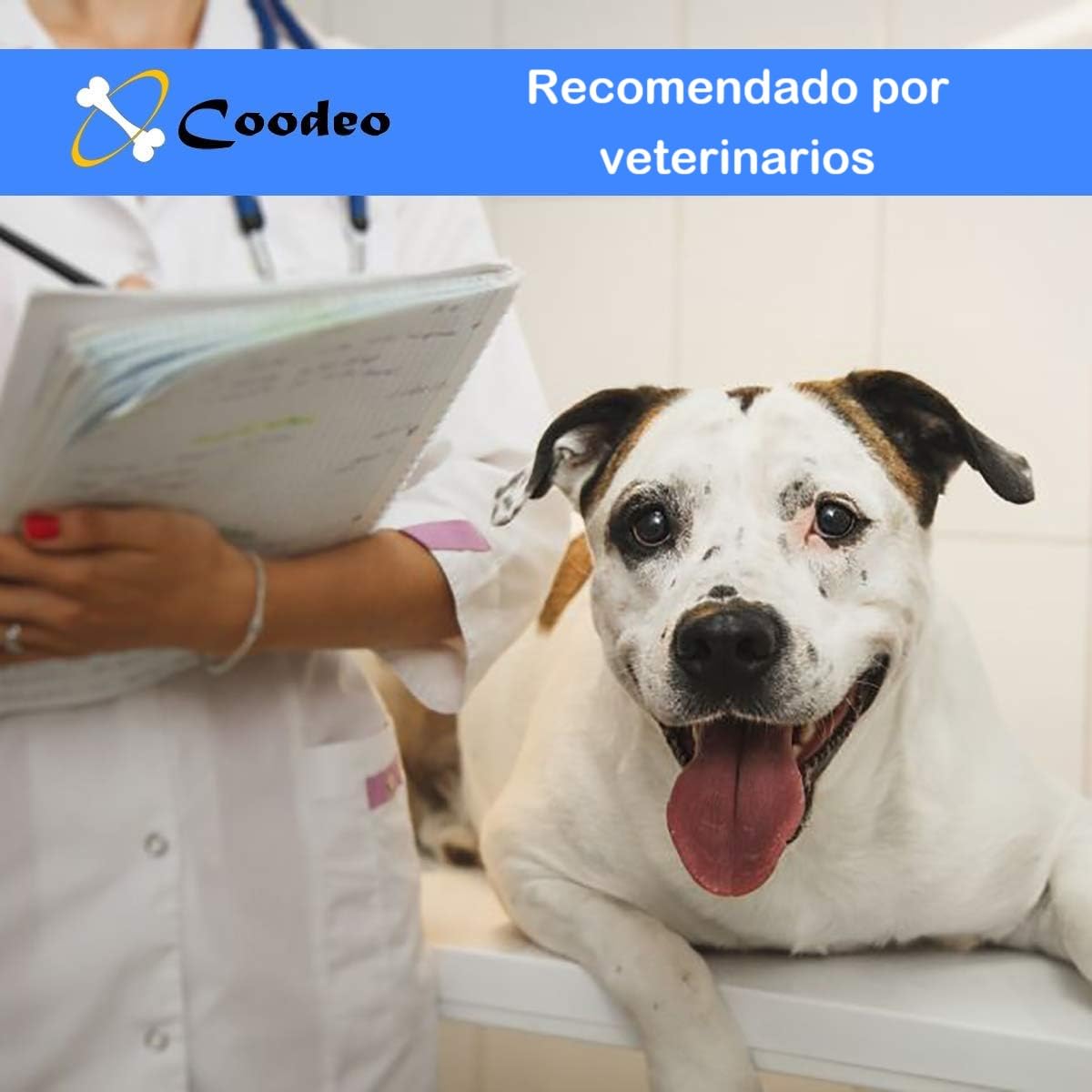 Coodeo Arnés de elevación para Perros, Soporte para Mascotas y rehabilitación, Correas Acolchadas Ajustables y Transpirables para Personas Mayores, discapacitados, Lesiones articulares, (Negro, 2XL)