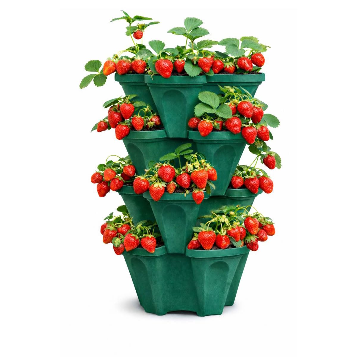 smart spring 4-Tier Deep Forest