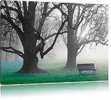 Autore: kaprikfoto Pixxprint banco Solo nella Nebbia Stampa su Tela 120x80 cm Artistica murale
