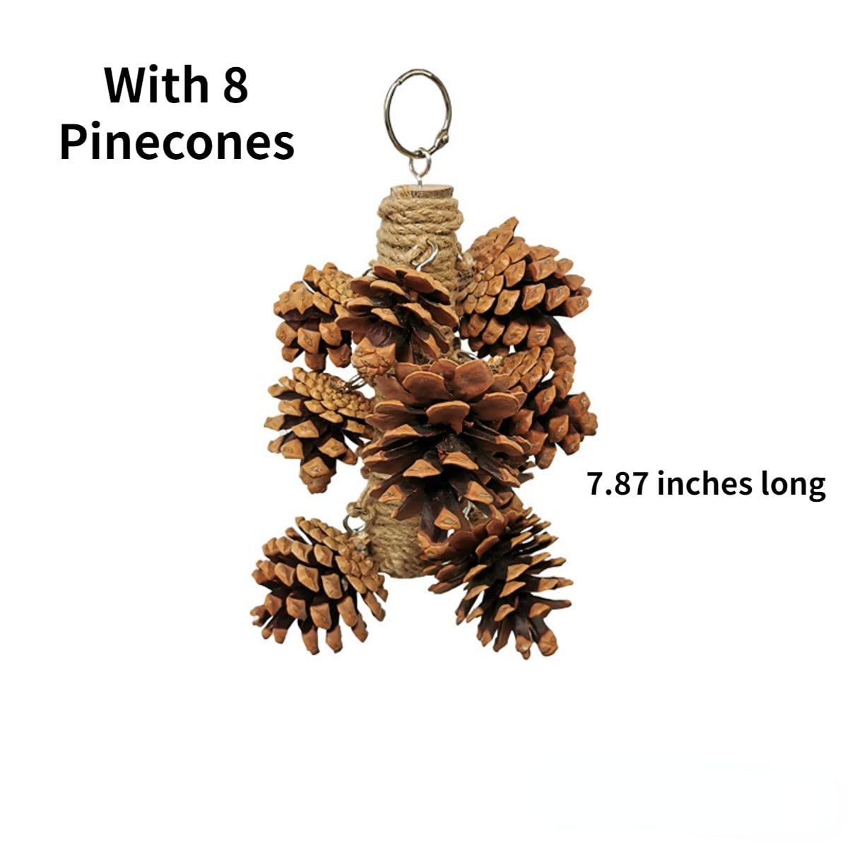 CXYYXF Parrot Toys Natural Pine Cones Bird Chew Toys Hanging Chewing Sticks Toys Bird Cage Toys for Conures Parakeets Cockatoo Cockatiel (with 8 Pinecones)