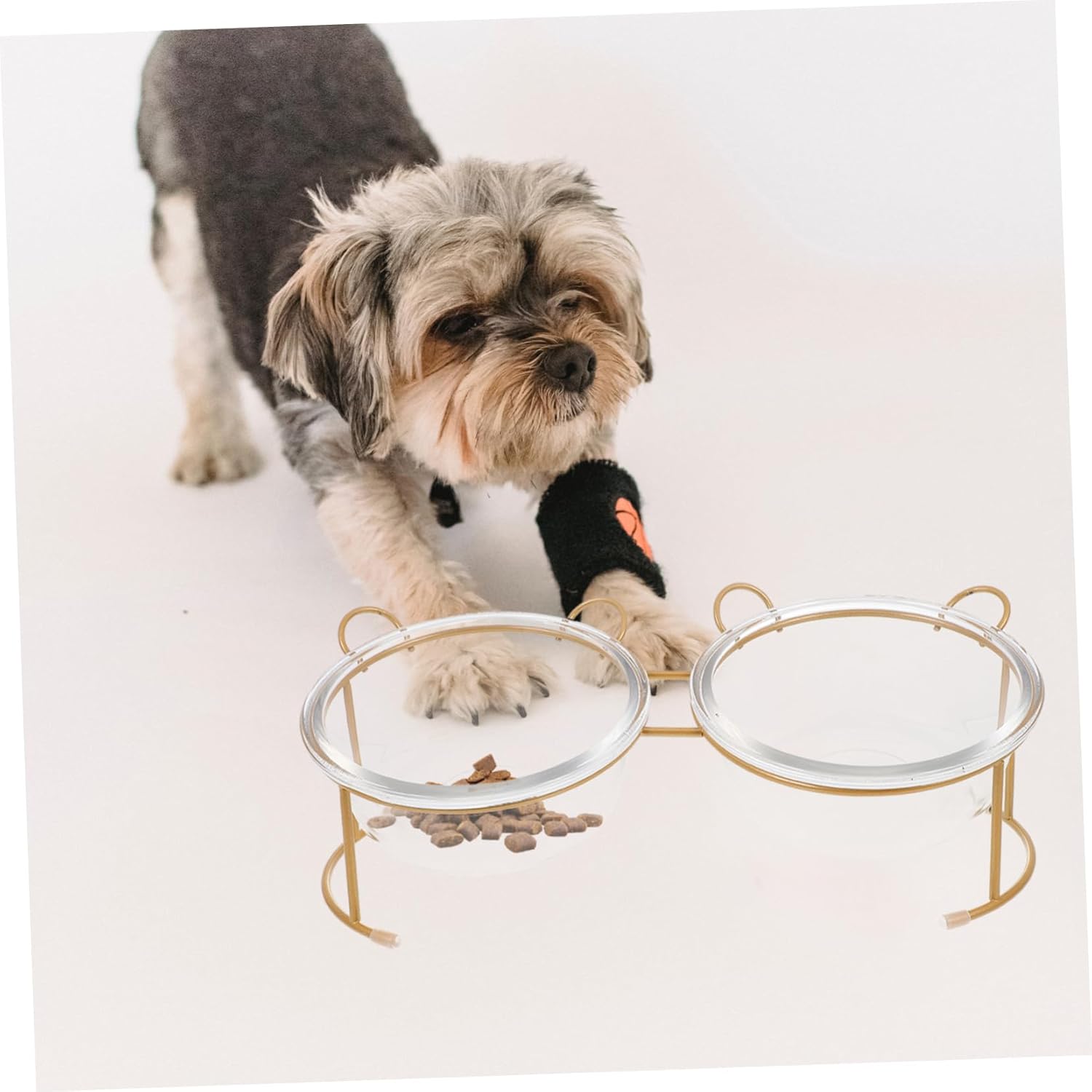 Raised Glass Dog Bowl with Iron Stand Non-Slip Pet Food Dish for Cats and Dogs Durable and Stable Design Pet Feeding Bowls Included