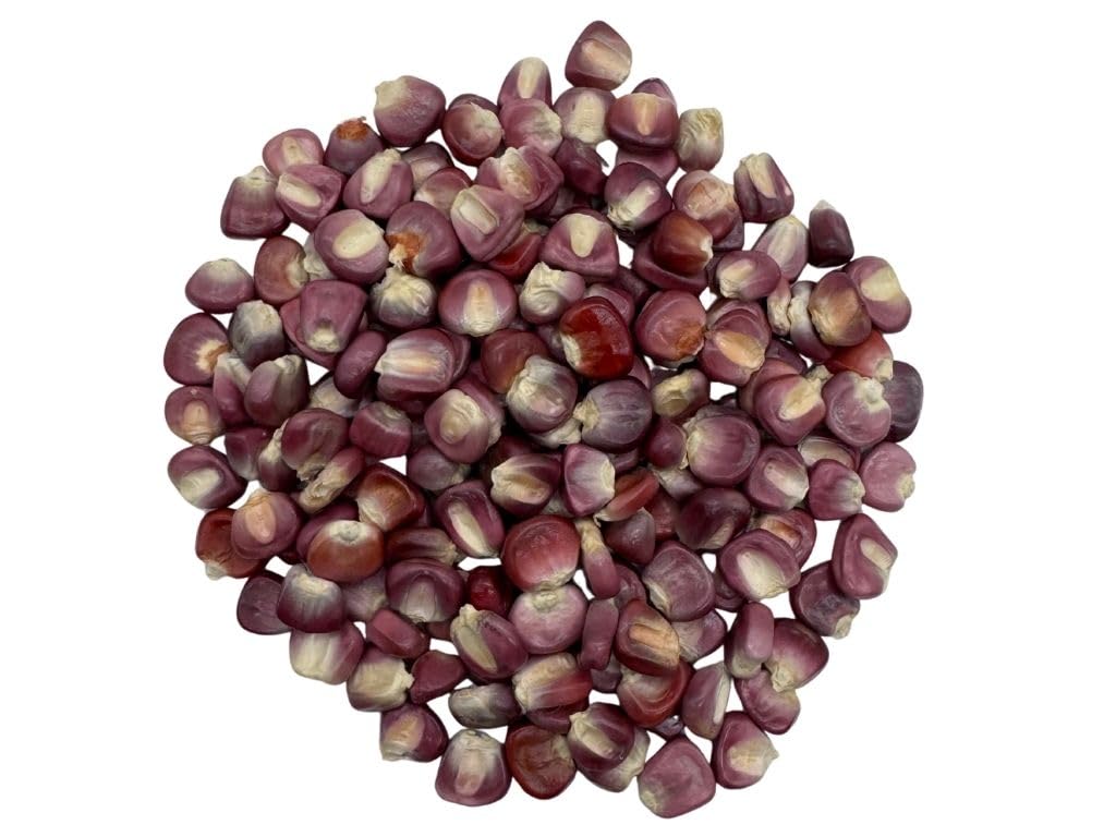 Premium Authentic Mexican Purple Hominy Corn (Maíz Pozolero Morado) – 15lb.