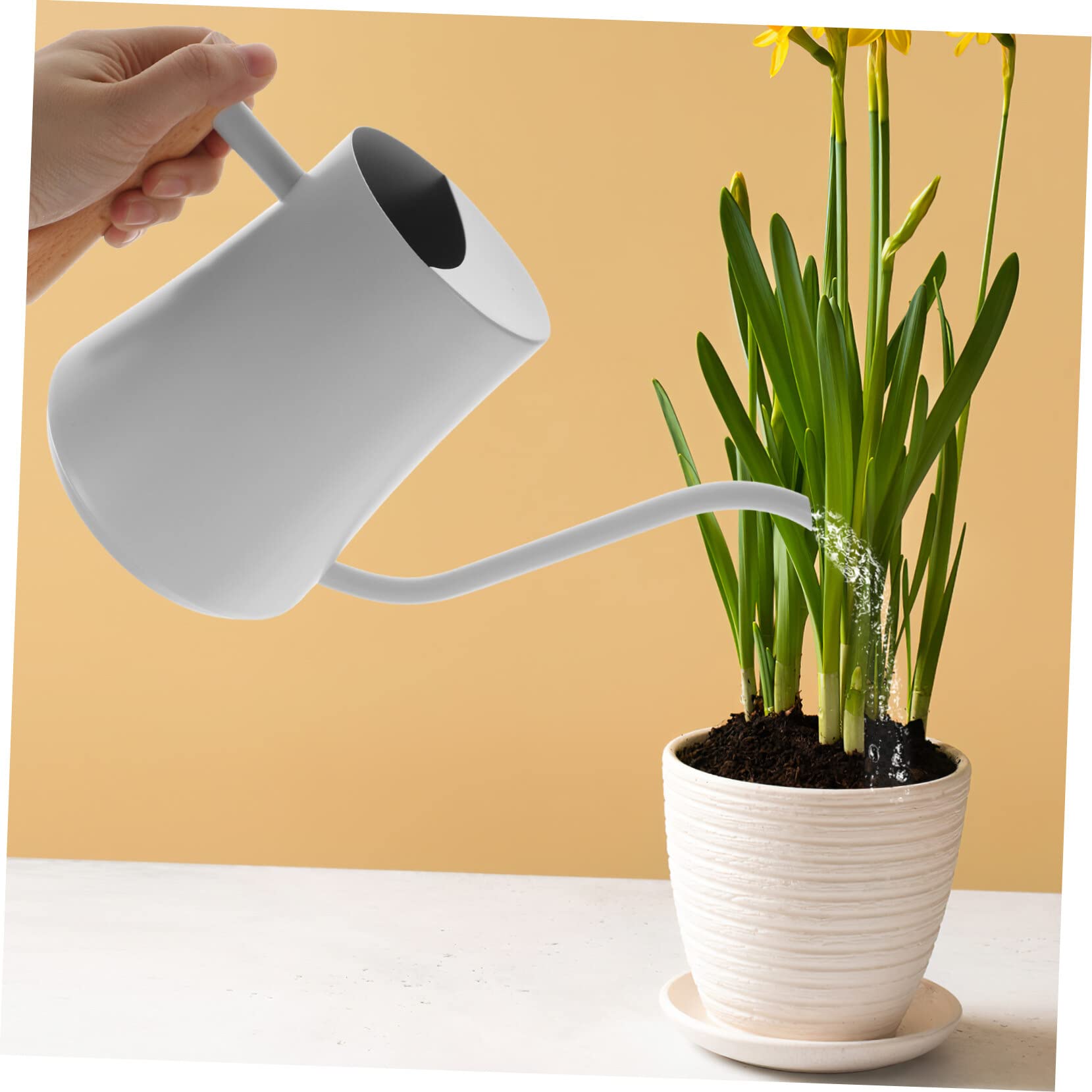 DOITOOL Annaffiatoio in Acciaio Inossidabile Beccuccio Per Piante Vaso Da Giardino Per Interni Ed Esterni