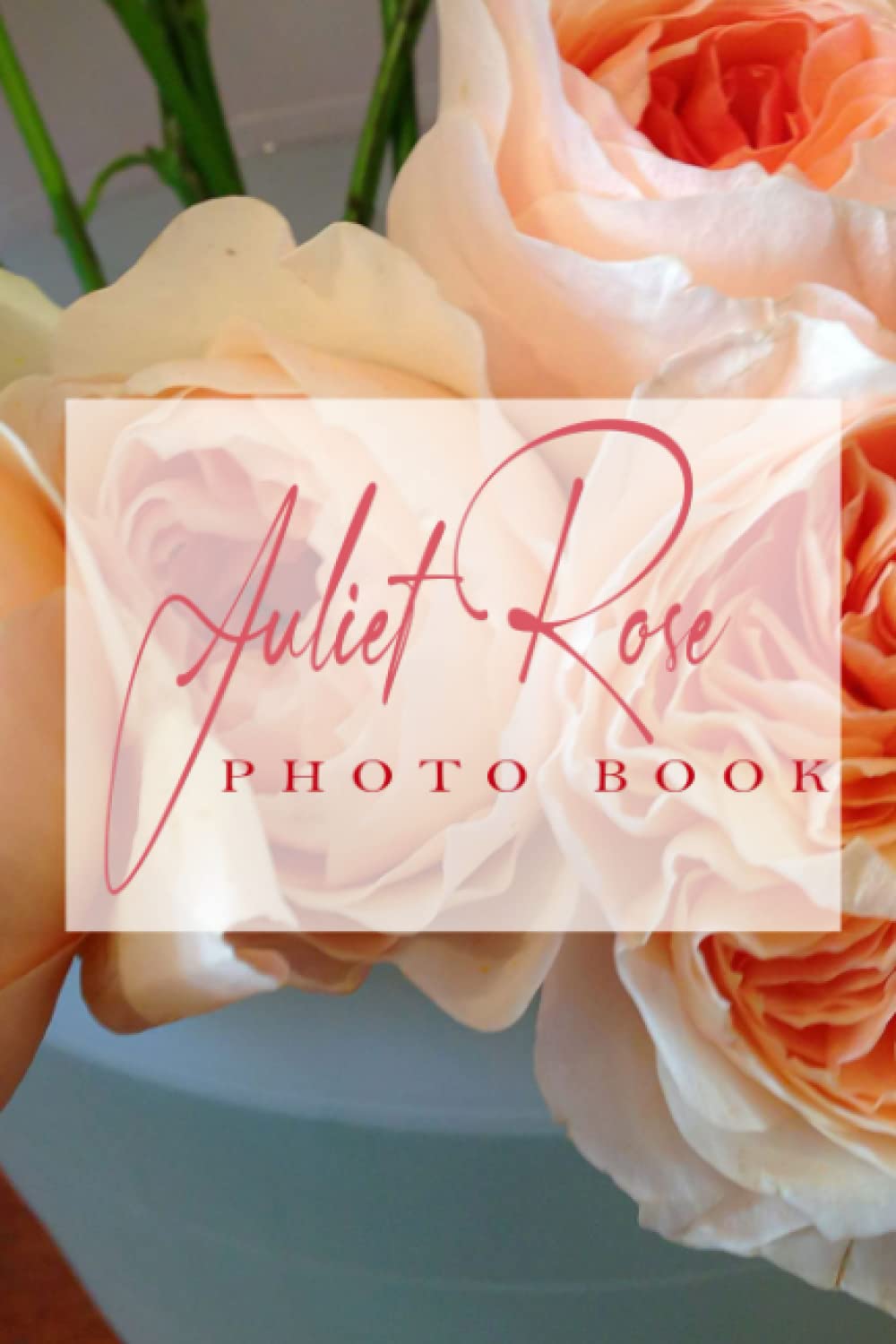 Juliet Rose Photo Book: Orange Flower Colorful Pages For All Ages Relaxation And Stress Relief | Ideal Gift For Birthday's Day