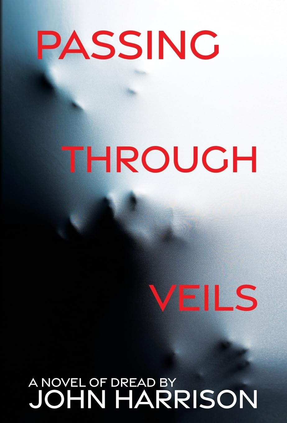 Buy Passing Through Veils โ BookShops.in
