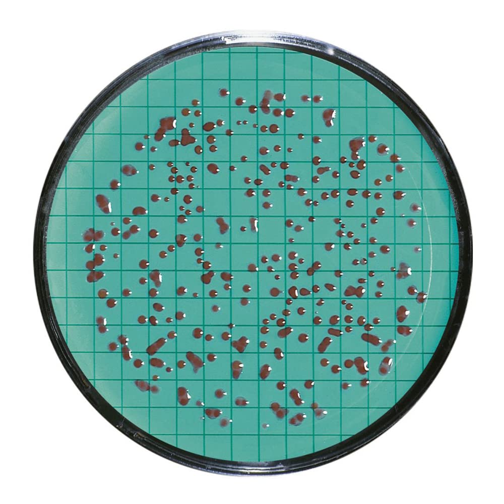Sartorius 14055-47-RDN Nutrient Pad Sets, Dehydrated Media Pads in Petri Dishes with Matching Microsart Filters, Total Count, Standard TTC, 47 mm (Pack of 100)