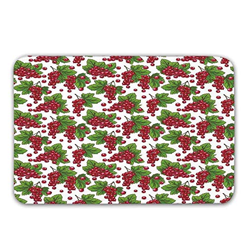 Preisvergleich Produktbild Kinhevao rutschfeste Fußmatten des Frühlingsgummirückens, Niederlassungen der roten Johannisbeere mit Blatt-Traubenernte-Landwirtschafts-Fr...