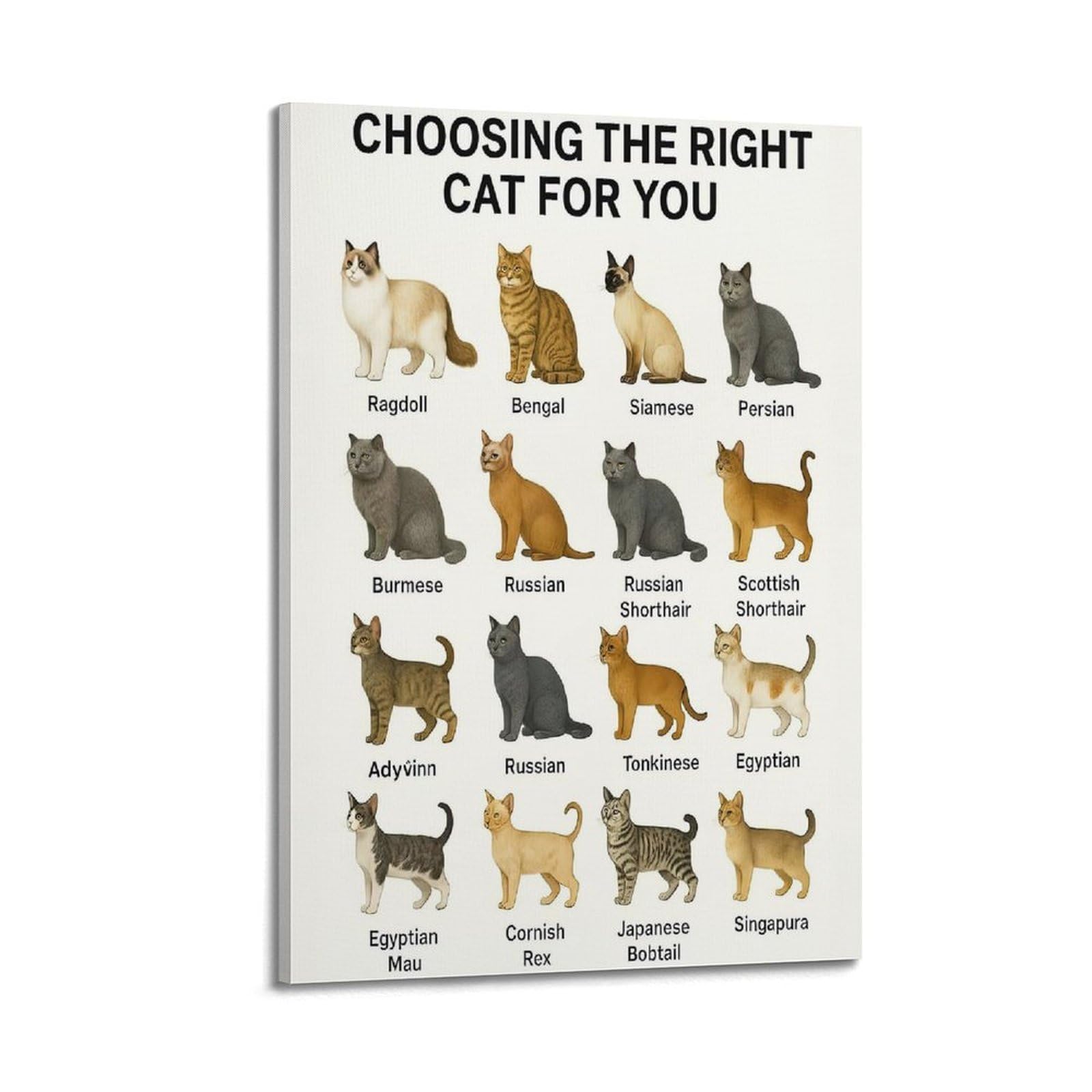 ESTE Cute Animal Poster Breeds of Cats Artwork Decorative Painting Canvas Modern Art Picture 24x36inch(60x90cm)
