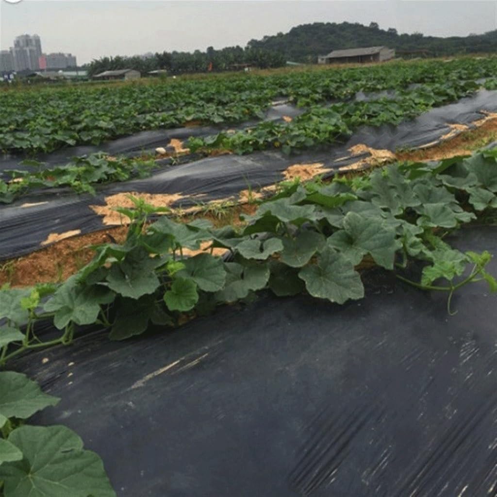 Film agricole Noir épais de 25 m, 0,01 mm, for la Plantation de légumes, Films de paillage en Plastique, contrôle des Mauvaises Herbes, Maintien au Chaud, Film de Culture(Width 0.8m)