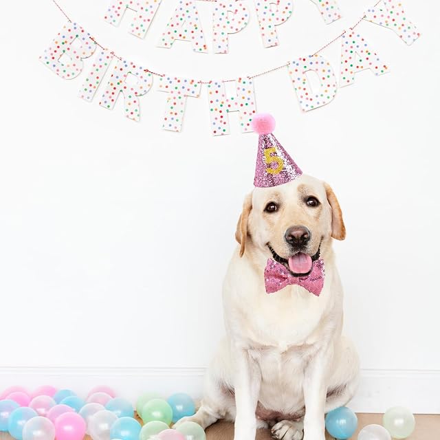 Foto 4 de 6 de Sombrero de Cumpleaños para Perro y Gato, Set Rosa de Tela con Collar de Pajarita