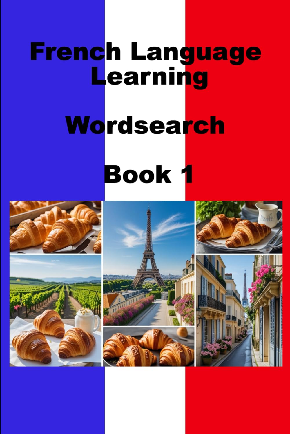 French Learning Language Wordsearch Book 1 (WordSearch Language Learner Series)
