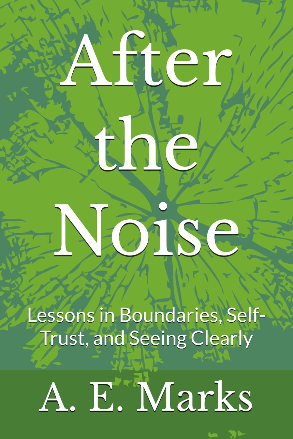 After the Noise: Lessons in Boundaries, Self-Trust, and Seeing Clearly