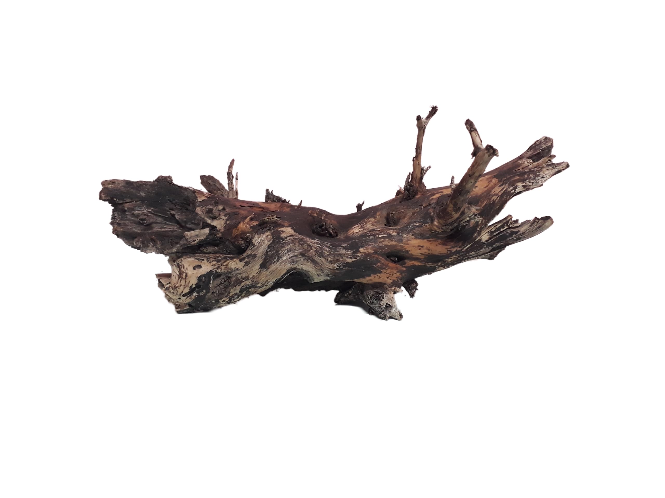 DKS STORES Driftwood For Aquairum 32 Cm Long Flat Driftwood