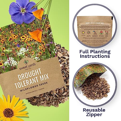 Sweet Yards Seed Co. Drought Tolerant Wildflowers Mix – Extra Large Packet – Over 7,500 Open Pollinated Non-Gmo Seeds – 21 Different Dryland Species! #TOP4