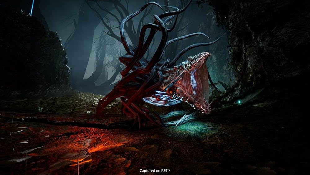 Sony Devolución (PS5) (PS5)
