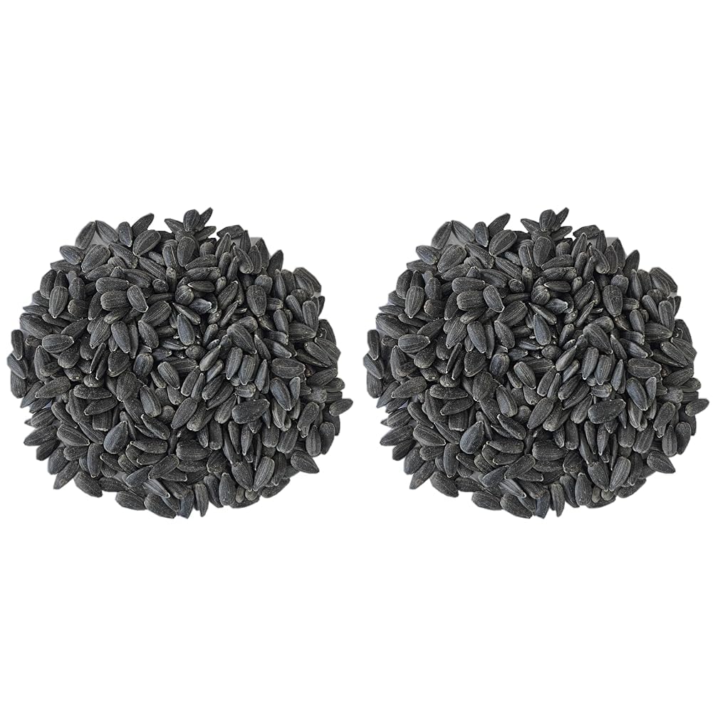 akolity A - Quality Store Sunflower Seeds - All Life Stages Bird Food (Small Size, 1 Kg), 1 Count (Pack of 2) (B0D81BJJXH) Amazon Price History, Amazon Price Tracker